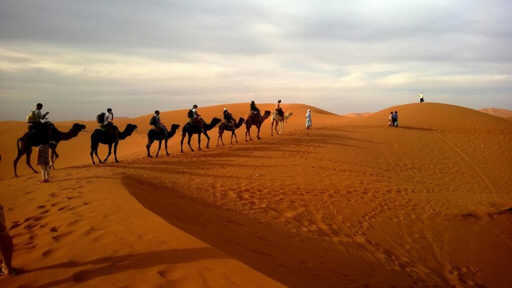 Best Luxury tours in Morocco 2026