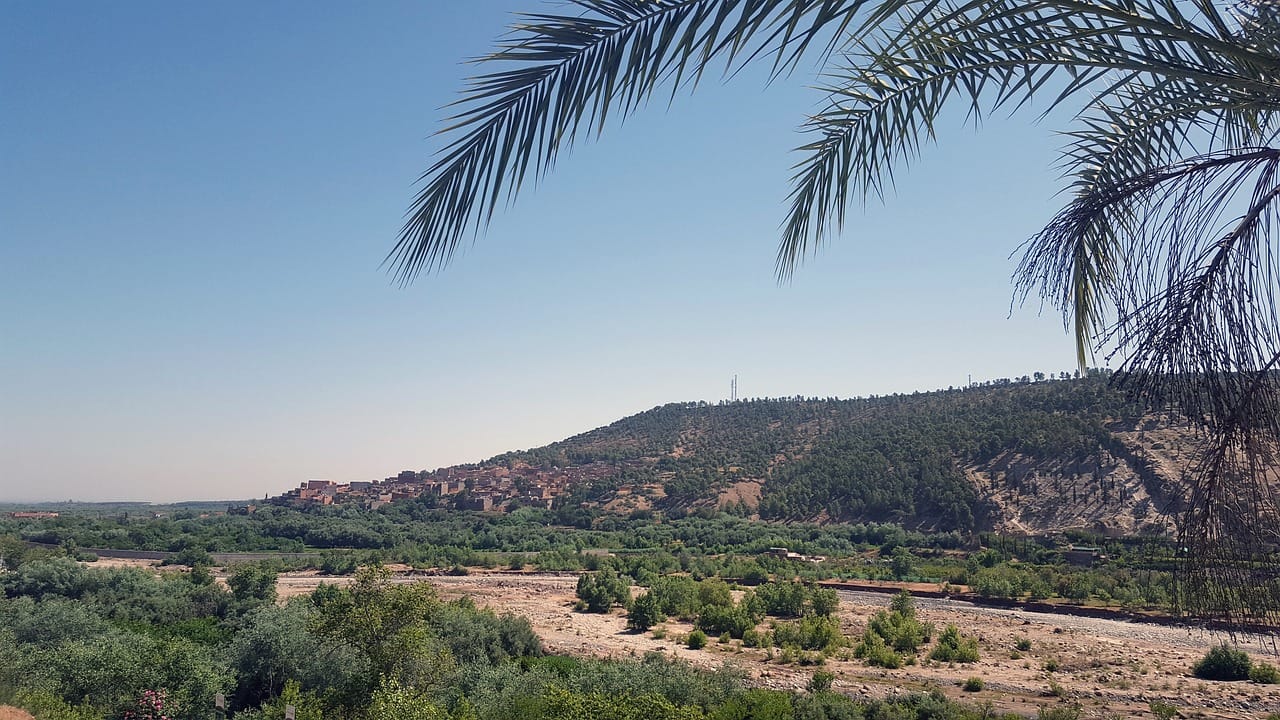 morocco, landscape, marrakech, nature, palm, holiday, mountain, mountain morocco, palm tree morocco, landscape morocco, blue sky palm tree, tourism morocco, tourism marrakech, morocco travel, travel marrakech, zen, hot, dune, dunes, dry, heat, morocco, marrakech, marrakech, marrakech, marrakech, marrakech
